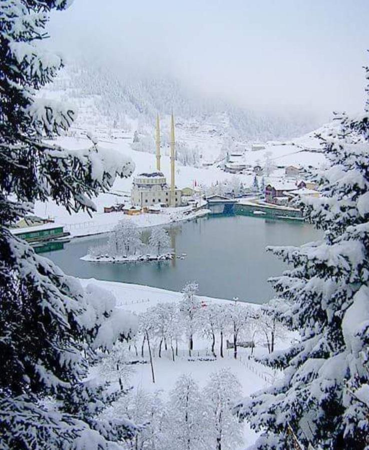 Mavi Koesk Uzungoel Uzungol Exterior foto
